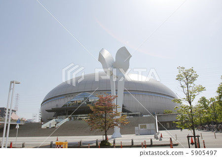 Namihaya圓頂 5905497