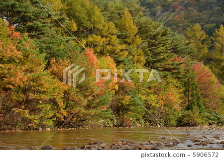 Autumn leaves and red river 5906572