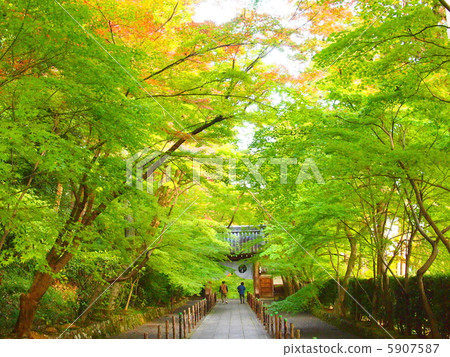 Kami-ji Temple in the ear 5907587