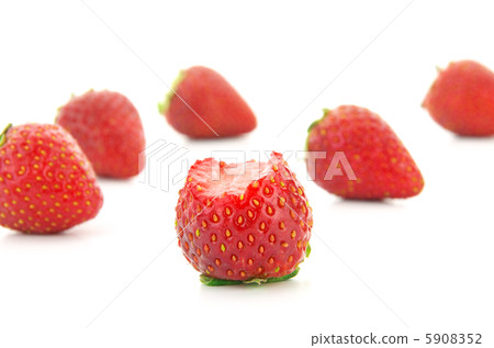 吃草莓 5908352