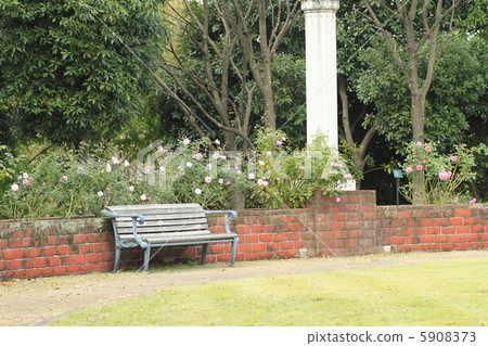 一個玫瑰園 一個玫瑰園 5908373