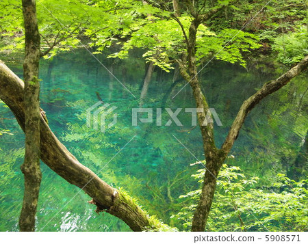 Pond of boiling pot 5908571