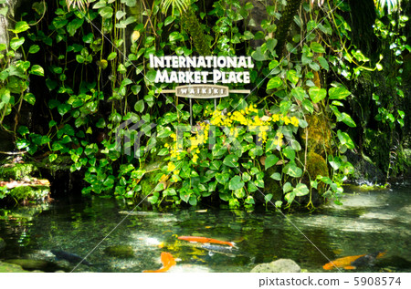 Waikiki International Marketplace fountain Waikiki International Marketplace fountain 5908574
