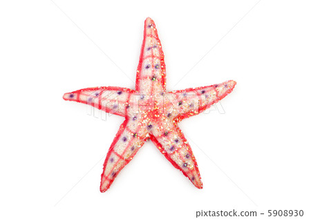 Sea stars isolated on the white Sea stars isolated on the white 5908930