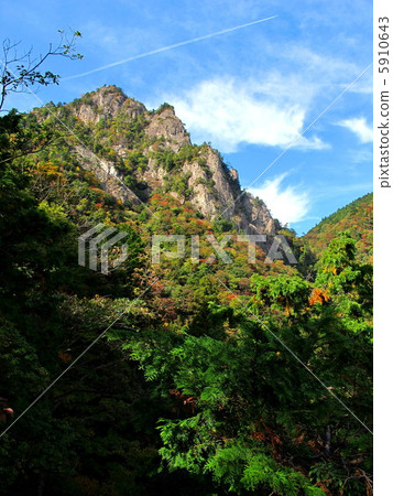 Autumn leaves of Yukihiko Mountain 5910643