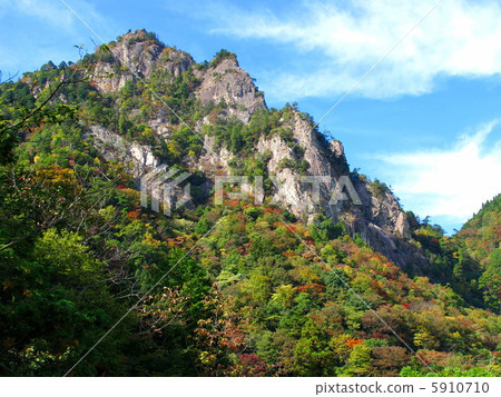 Autumn leaves of Yukihiko Mountain 5910710