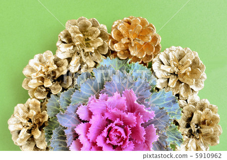 Leaves Peony and Pine cones 5910962
