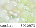 一個小聲音 5910973