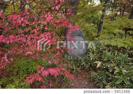 松本民間藝術館花園秋季 5911308