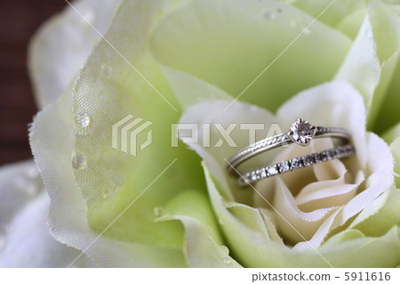 雙鑽戒指與白玫瑰婚禮形象 5911616