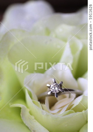 立釘鑽戒白玫瑰婚紗照 5911626