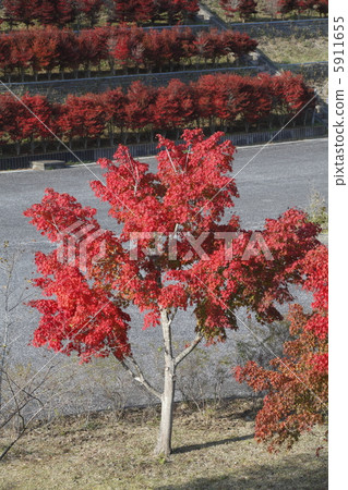 宮瀨水壩 5911655