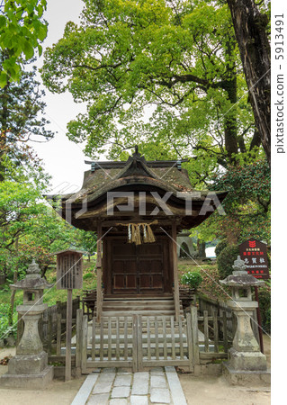 太宰府市Shizuka有限公司 太宰府市Shizuka有限公司 5913491