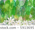 花林 5913695