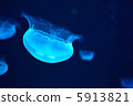 海洋月亮1 海洋月亮1 5913821