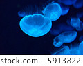 海洋月亮2 海洋月亮2 5913822