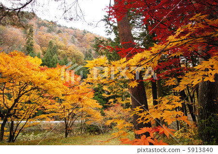 2012秋天Seseragi高速公路 2012秋天Seseragi高速公路 5913840