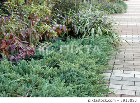 Potted planting garden Potted planting garden 5913853
