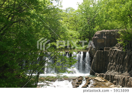 Fresh green Sakugawa River Fukui dam 5913899