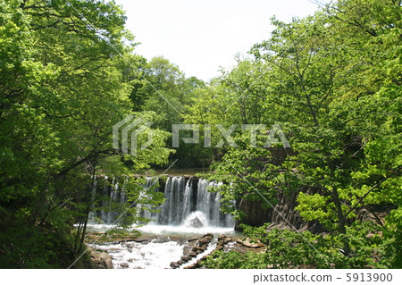 Fresh green Sakugawa River Fukui dam 5913900