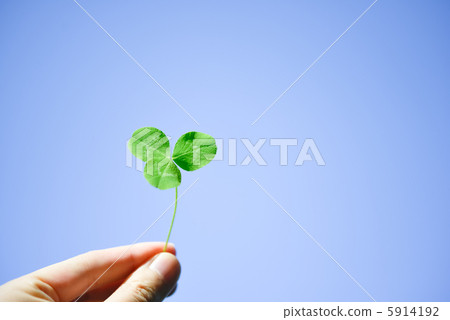 Clover and hand and sky 5914192