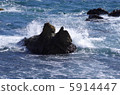Wave 5914447