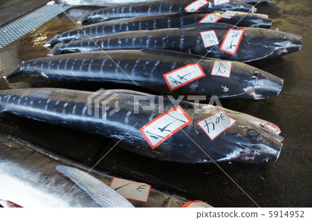 Deep-frying of Pinus thunbergii 5914952