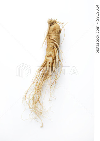 Ginseng Ginseng 5915014