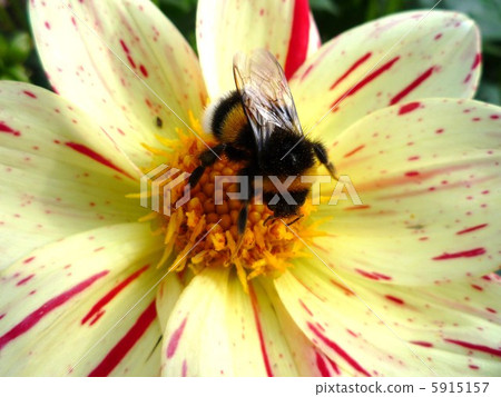 It's amazing! ! ! 5915157