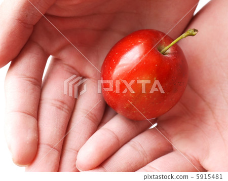 蘋果棕櫚掌上電腦 5915481