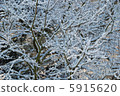 雪地 5915620