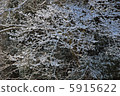 雪地 5915622