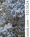 雪地 5915624