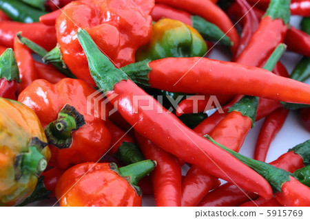 辣辣椒 5915769