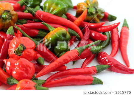 辣辣椒 辣辣椒 5915770