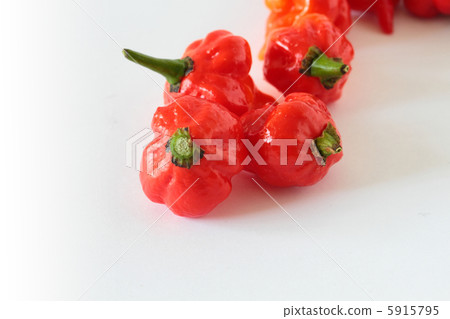 Spicy pepper Naga · Vapor Spicy pepper Naga · Vapor 5915795