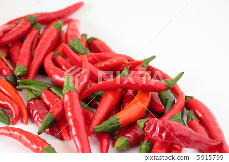 Capsicum Hot Tie Capsicum Hot Tie 5915799