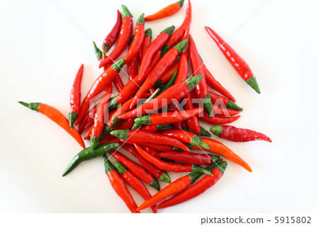Capsicum Hot Tie Capsicum Hot Tie 5915802