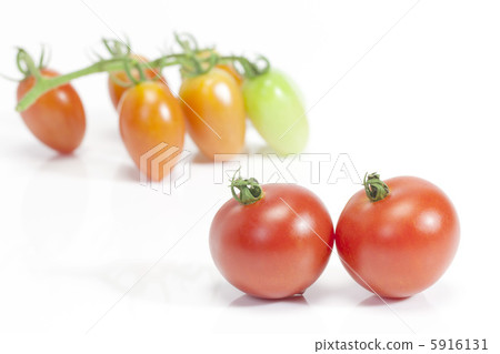 夏季蔬菜和西紅柿 5916131