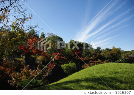 Japanese garden with colored leaves 5916307