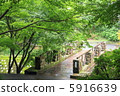 Fresh green and bridge 5916639