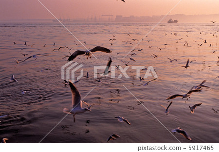 里斯本灣的黃昏 5917465