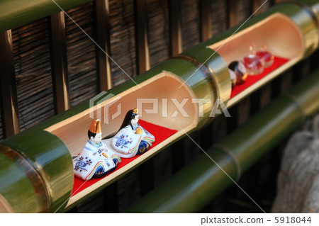 Changing chicks Changing chicks 5918044