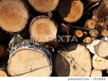 A log 5918068