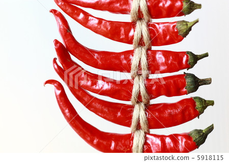 幹紅南蠻 5918115