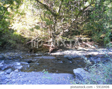 插入燈光 插入燈光 5918406