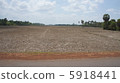 柬埔寨平原 5918441