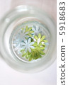 Craft punch 5918683