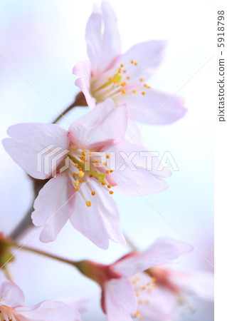 城堡在心中 城堡在心中 5918798