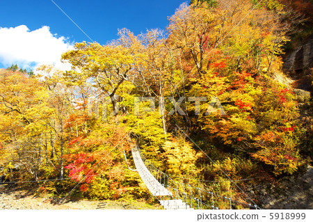 Nagano Nagano City Onishiri Inouekohana Valley 5918999